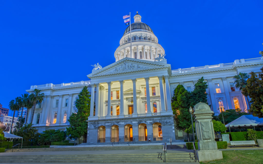 Legislation & Policy