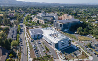 Walnut Creek CA