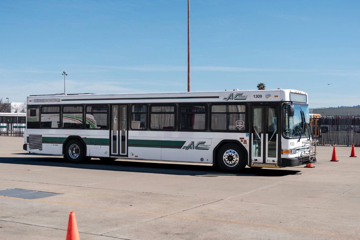 ZEBU Tour Photo 1200 px 1 (3)