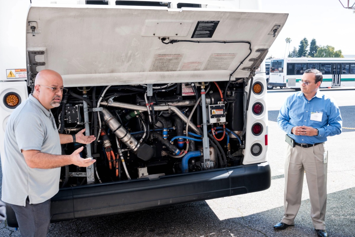 ZEBU Tour Photo 1200 px 1