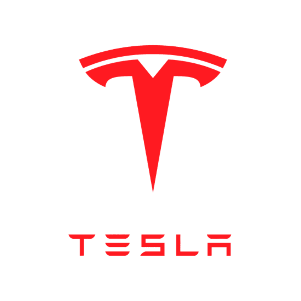 icon logo 28 TESLA