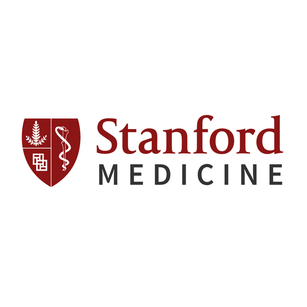 icon logo 30 STANFORD